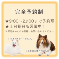 蕨　整骨院,蕨　接骨院,蕨　鍼灸,蕨　美容鍼,蕨　肩コリ,蕨　腰痛,蕨　整体,蕨　むちうち,蕨　交通事故,西川口　整骨院,西川口　接骨院,西川口　鍼灸,西川口　美容鍼,西川口　肩コリ,西川口　腰痛,西川口　整体,西川口　むちうち,西川口　交通事故,川口　整骨院,川口　接骨院,川口　鍼灸,川口　美容鍼,川口　肩コリ,川口　腰痛,川口　整体,川口　むちうち,川口　交通事故